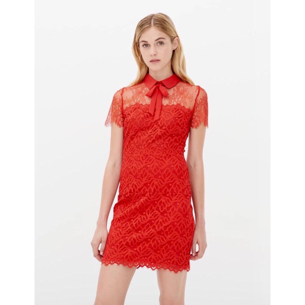 Sandro- Rozen Lace Stretch Dress